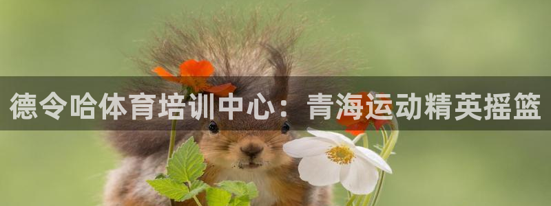 富联娱乐在线注册链接是什么意思：德令哈体育培训中心：