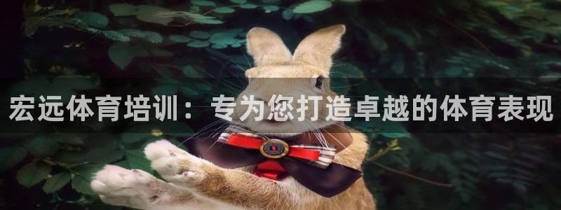 富联娱乐平台开户：宏远体育培训：专为您打造卓越的体育
