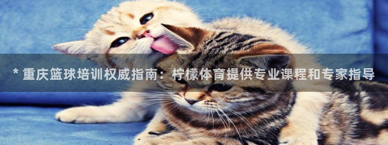 股票富联申购今天多少钱：* 重庆篮球培训权威指南：柠