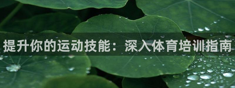 富联官网代理系列：提升你的运动技能：深入体育培训指南
