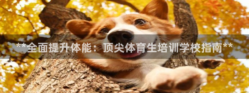 富联娱乐登录地址查询：**全面提升体能：顶尖体育生培