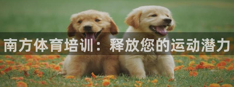 富联平台某7O777：南方体育培训：释放您的运动潜力