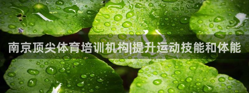 富联娱乐心 585341 娱乐：南京顶尖体育培训机构