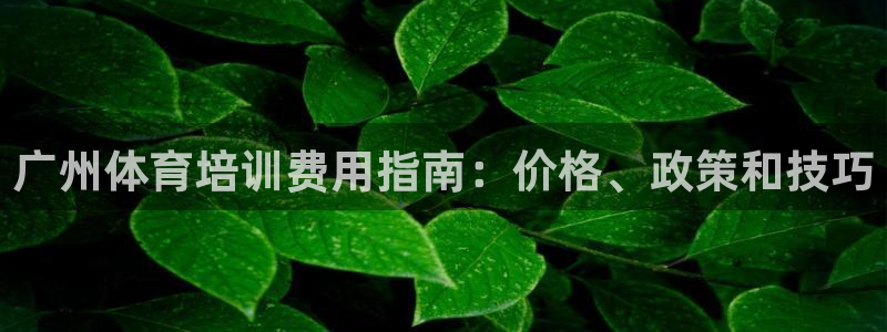 富联娱乐负责人是谁：广州体育培训费用指南：价格、政策