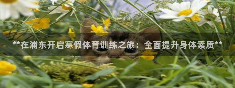 富联娱乐平台怎么样可靠吗：**在浦东开启寒假体育训练
