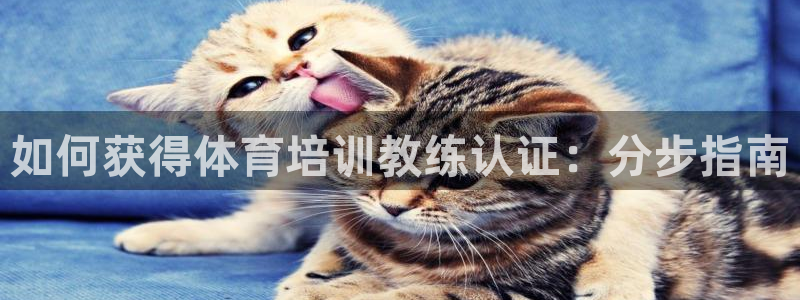 富联娱乐客户端app下载服务器异常：如何获得体育培训