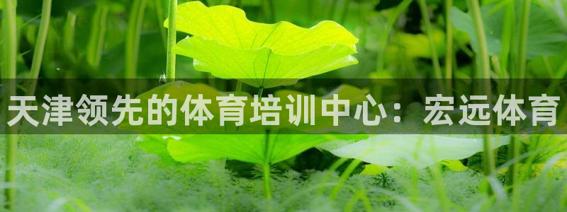 富联娱乐是什么时候开的股票：天津领先的体育培训中心：