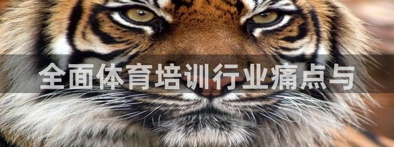 富联平台官网：全面体育培训行业痛点与
