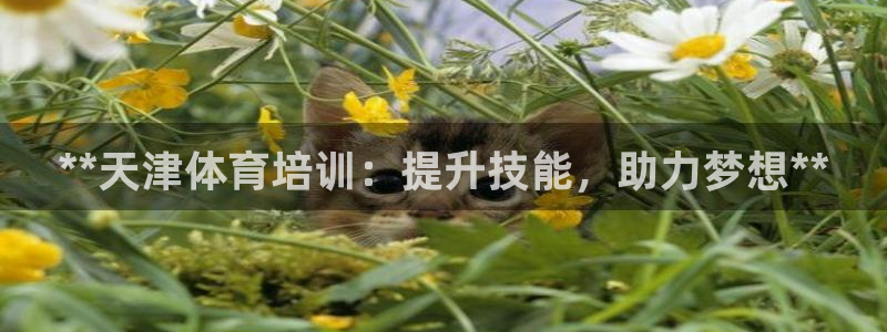 富联娱乐客户端app下载服务器错误：**天津体育培训