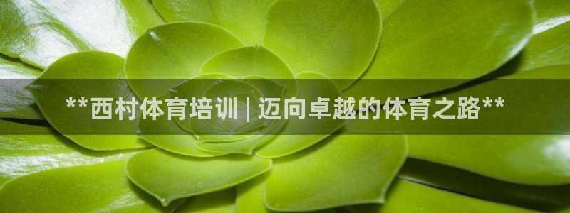 富联平台网站官网：**西村体育培训 | 迈向卓越的体