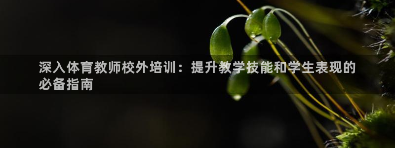 富联物业：深入体育教师校外培训：提升教学技能和学生表现的
必