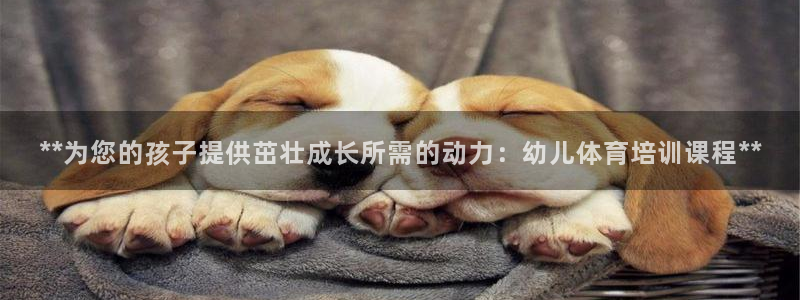 富联娱乐老板是哪里人：**为您的孩子提供茁壮成长所需