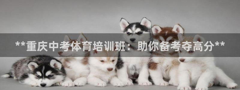 富联化工：**重庆中考体育培训班：助你备考夺高分**