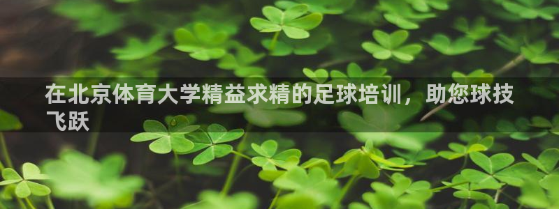 富联娱乐负责人名单：在北京体育大学精益求精的足球培训