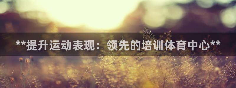香港富联国际集团：**提升运动表现：领先的培训体育中