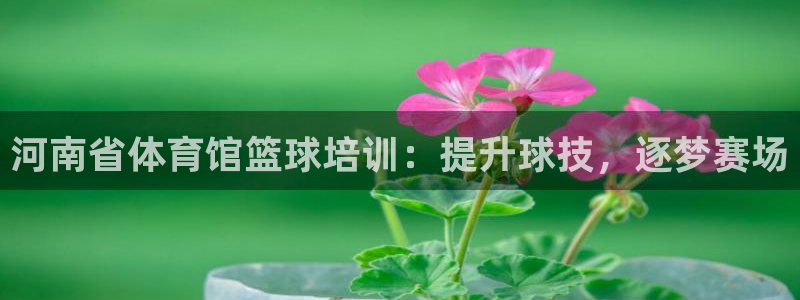 富联官方网站：河南省体育馆篮球培训：提升球技，逐梦赛