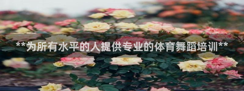 富联娱乐登录注册入口官网下载安装：**为所有水平的人提供专业