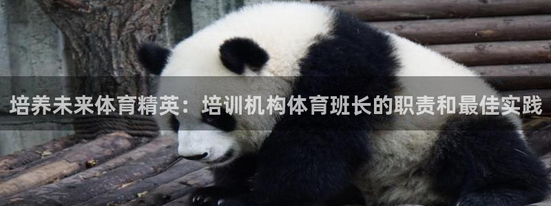 富联娱乐平台开户：培养未来体育精英：培训机构体育班长的职责和