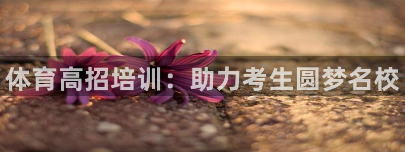 富联娱乐股东构成：体育高招培训：助力考生圆梦名校