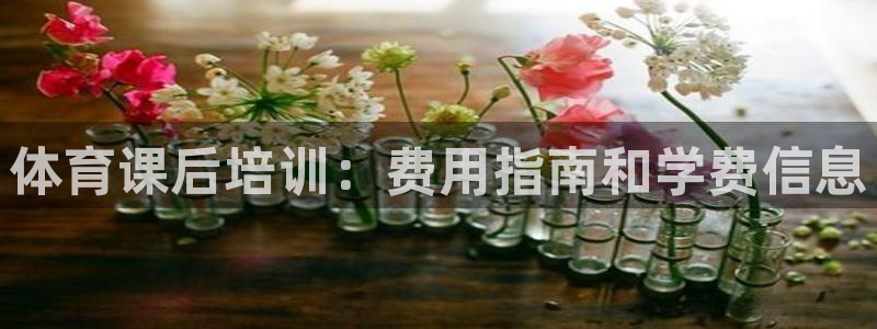 富联娱乐测速：体育课后培训：费用指南和学费信息