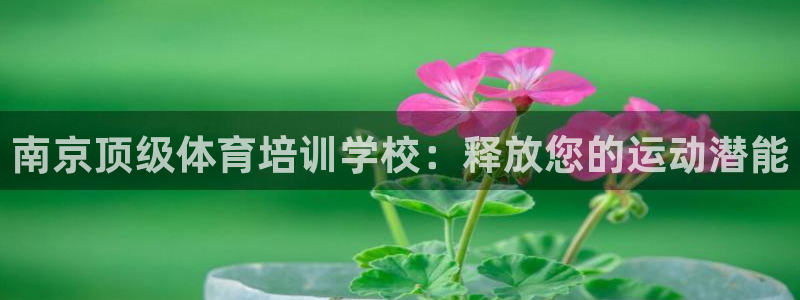 富联娱乐玩法机制是什么：南京顶级体育培训学校：释放您的运动潜