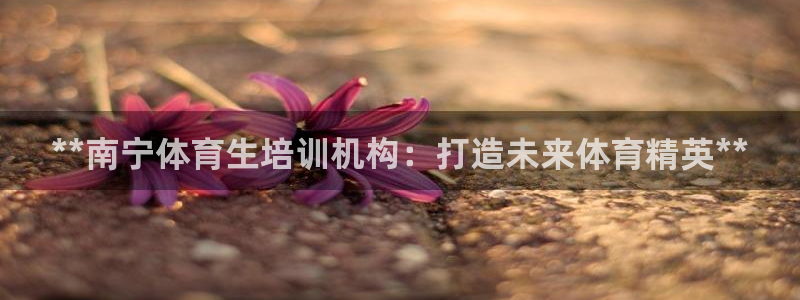 富联娱乐平台能挣到钱吗：**南宁体育生培训机构：打造