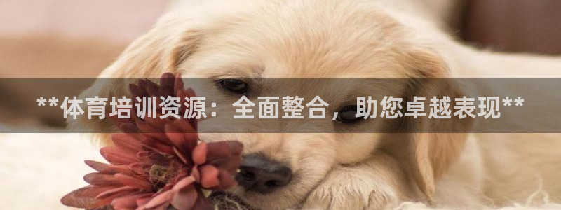 富联娱乐靠 58534I 富联：**体育培训资源：全面整合，
