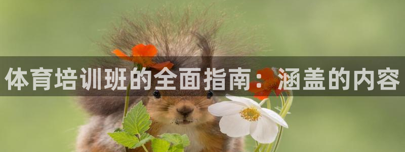 富联申购是什么股票：体育培训班的全面指南：涵盖的内容