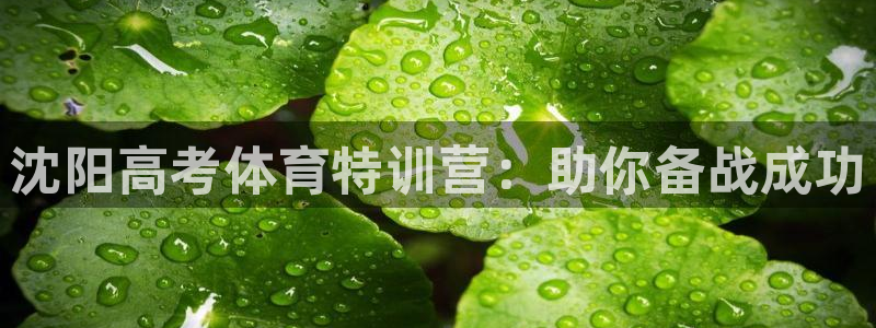 富联娱乐客户端app下载服务器失败怎么回事：沈阳高考