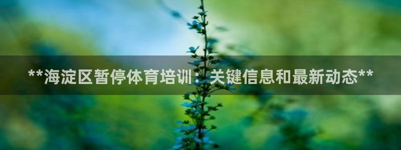 富联平台代理注册：**海淀区暂停体育培训：关键信息和