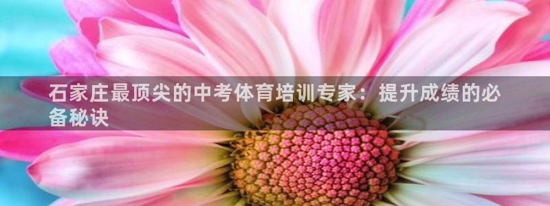 富联官方网站入口网址：石家庄最顶尖的中考体育培训专家