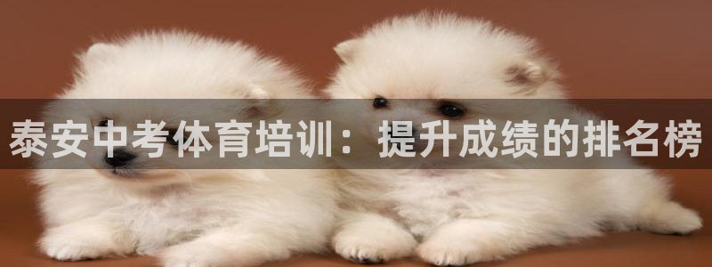 富联平台是什么：泰安中考体育培训：提升成绩的排名榜