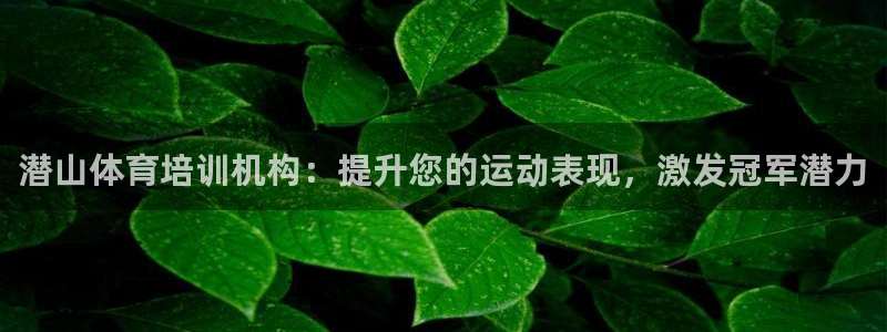 富联平台推 5O6917 富联：潜山体育培训机构：提