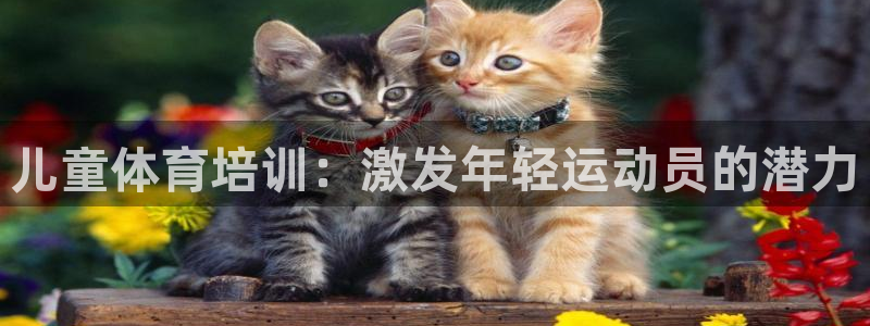 富联申购哪天上市交易：儿童体育培训：激发年轻运动员的