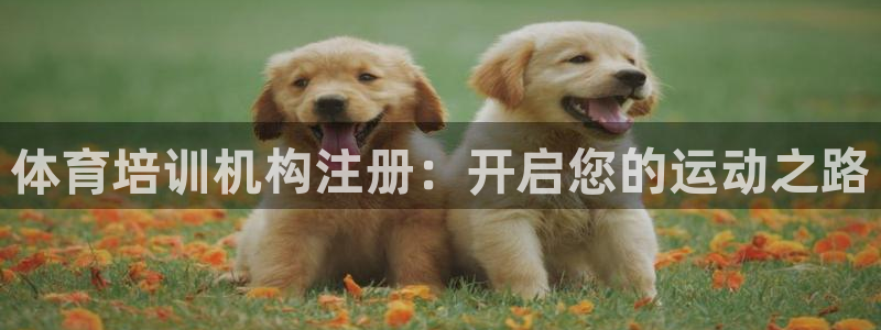 富联申购什么时候开盘