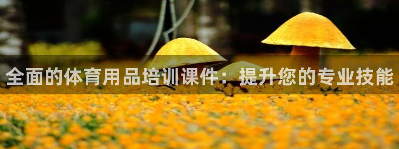 富联娱乐价7O777：全面的体育用品培训课件：提升您