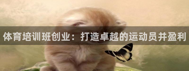 富联是什么板块：体育培训班创业：打造卓越的运动员并盈