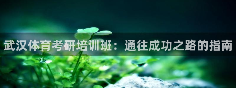 富联平台开户条件：武汉体育考研培训班：通往成功之路的指南