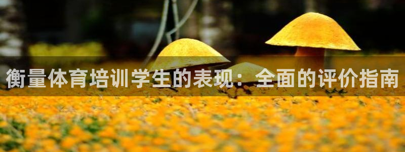 富联娱乐服务站怎么样：衡量体育培训学生的表现：全面的