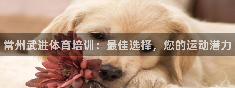 富联娱乐正规吗：常州武进体育培训：最佳选择，您的运动