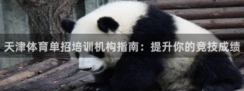 富联是什么软件：天津体育单招培训机构指南：提升你的竞