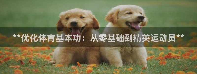 富联娱乐登录注册账号：**优化体育基本功：从零基础到