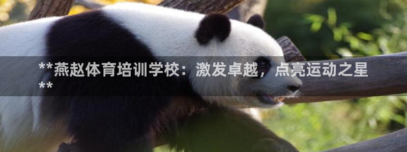 富联机器人产业研发基地：**燕赵体育培训学校：激发卓越，点亮