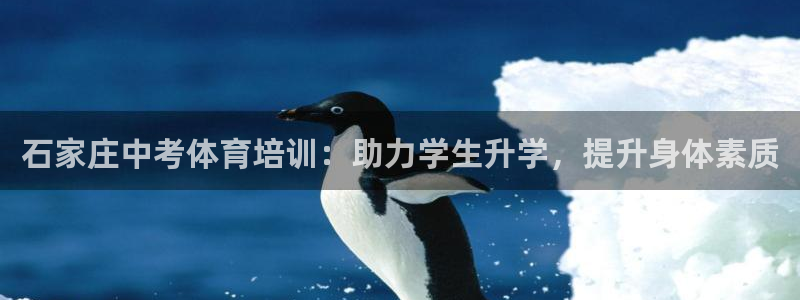 富联申购是什么股票板块：石家庄中考体育培训：助力学生
