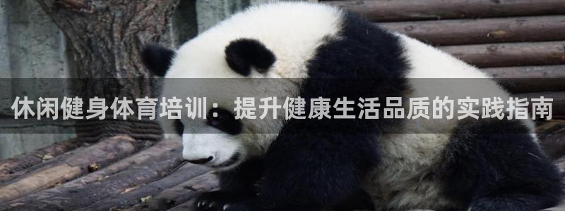 富联官方网站下载app：休闲健身体育培训：提升健康生