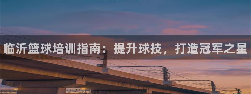 中国富联股票行情：临沂篮球培训指南：提升球技，打造冠
