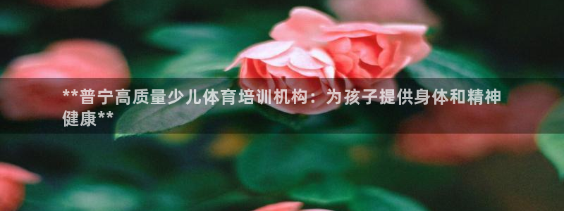 富联平台容7O777：**普宁高质量少儿体育培训机构