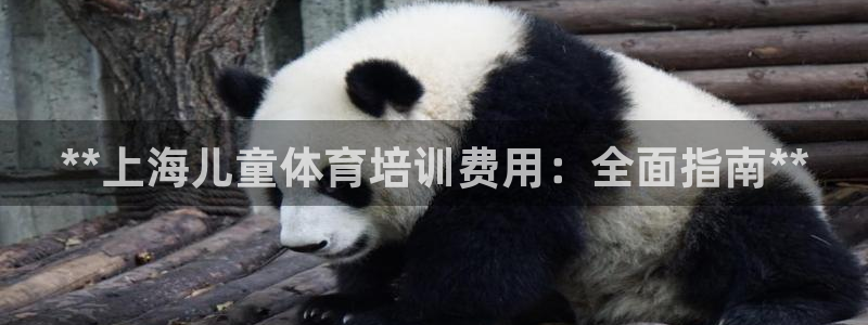 富联娱乐在线注册链接是什么：**上海儿童体育培训费用
