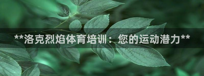 富联申购什么时候上市交易：**洛克烈焰体育培训：您的