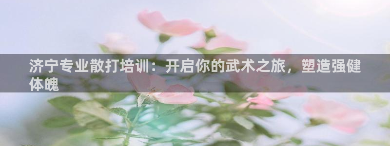 富联平台线路检测中心官网：济宁专业散打培训：开启你的武术之旅